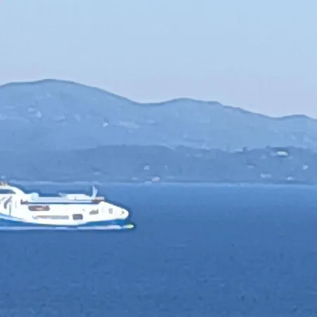 Cathedrale Ajaccio (Corsica)